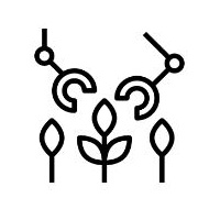 Ácido Peracético para la Industria Agrícola Ácido Peracético para la Industria Agrícola